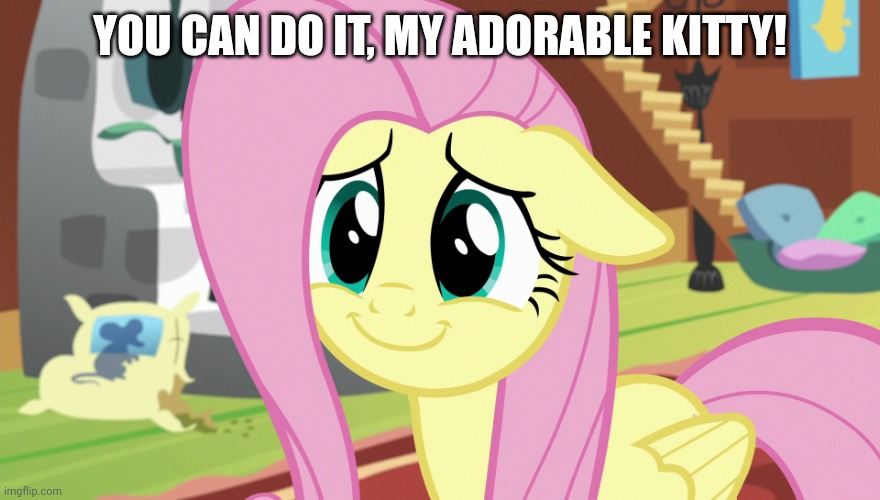 Shyabetes (MLP) | YOU CAN DO IT, MY ADORABLE KITTY! | image tagged in shyabetes mlp | made w/ Imgflip meme maker