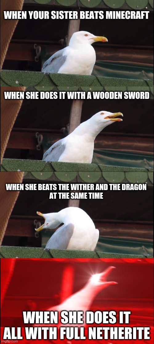Sister Beats Minecraft | WHEN YOUR SISTER BEATS MINECRAFT; WHEN SHE DOES IT WITH A WOODEN SWORD; WHEN SHE BEATS THE WITHER AND THE DRAGON
AT THE SAME TIME; WHEN SHE DOES IT ALL WITH FULL NETHERITE | image tagged in memes,inhaling seagull | made w/ Imgflip meme maker