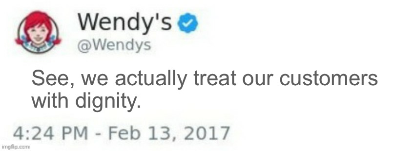 Wendy's Twitter | See, we actually treat our customers 
with dignity. | image tagged in wendy's twitter | made w/ Imgflip meme maker