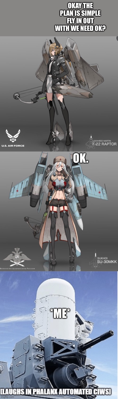 OKAY THE PLAN IS SIMPLE FLY IN OUT WITH WE NEED OK? OK. *ME* | image tagged in laughs in ciws | made w/ Imgflip meme maker