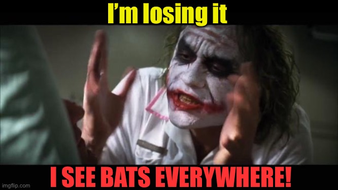 And everybody loses their minds Meme | I’m losing it I SEE BATS EVERYWHERE! | image tagged in memes,and everybody loses their minds | made w/ Imgflip meme maker