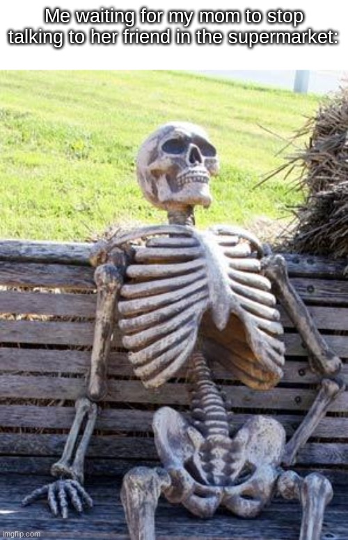 so bored i walked to the park | Me waiting for my mom to stop talking to her friend in the supermarket: | image tagged in memes,waiting skeleton,funny,relatable | made w/ Imgflip meme maker