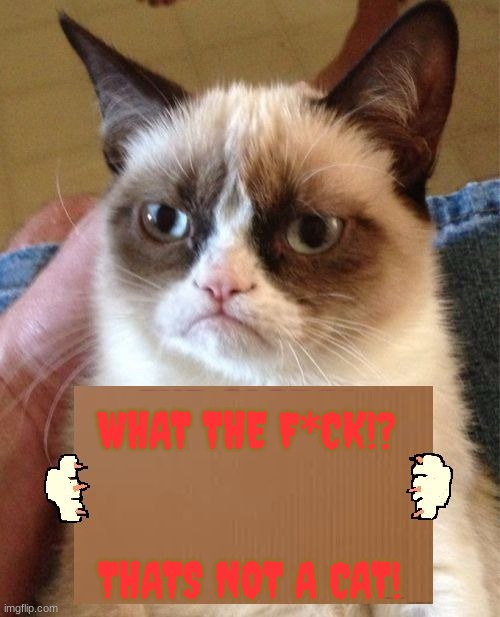 Grumpy Cat Cardboard Sign | WHAT THE F*CK!? THATS NOT A CAT! | image tagged in grumpy cat cardboard sign | made w/ Imgflip meme maker