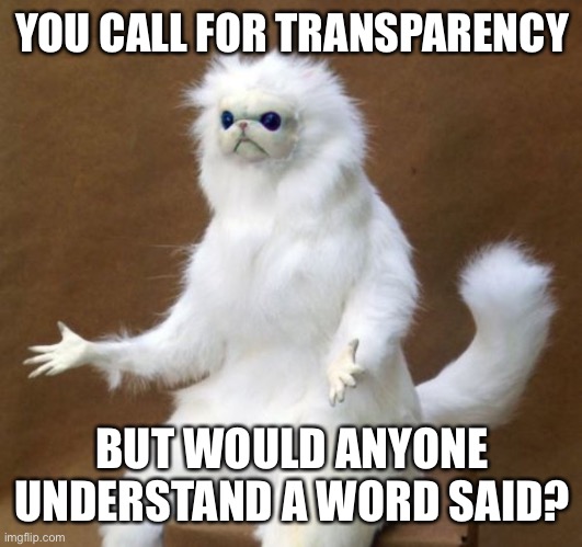 Persian Cat | YOU CALL FOR TRANSPARENCY BUT WOULD ANYONE UNDERSTAND A WORD SAID? | image tagged in persian cat | made w/ Imgflip meme maker