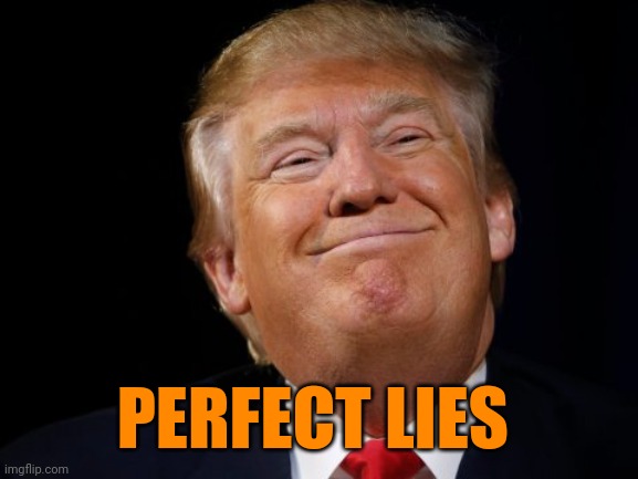 Smug Trump | PERFECT LIES | image tagged in smug trump | made w/ Imgflip meme maker