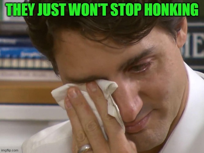 Wherever they live, liberals ruin everything they touch. | image tagged in stupid liberals,triggered liberal,meanwhile in canada | made w/ Imgflip meme maker