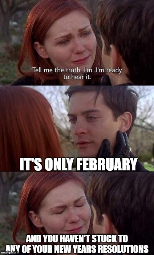 So Much for Resolutions | IT'S ONLY FEBRUARY; AND YOU HAVEN'T STUCK TO ANY OF YOUR NEW YEARS RESOLUTIONS | image tagged in tell me the truth i'm ready to hear it | made w/ Imgflip meme maker