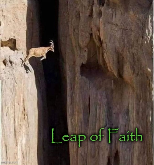 The sure footed ! | Leap of Faith | image tagged in goat | made w/ Imgflip meme maker