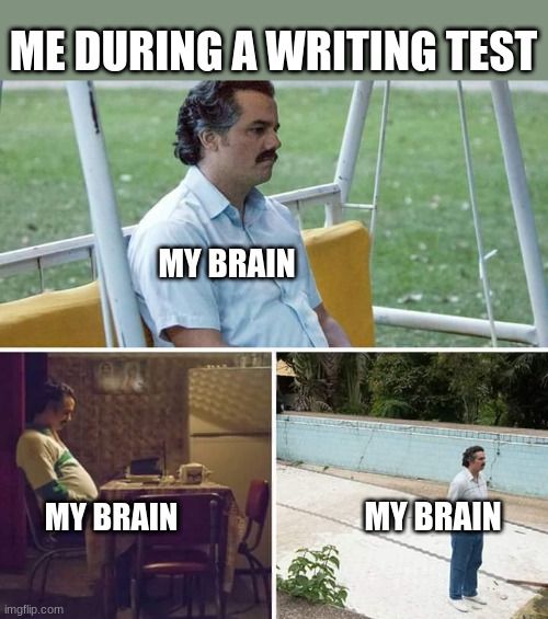 Sad Pablo Escobar Meme | ME DURING A WRITING TEST; MY BRAIN; MY BRAIN; MY BRAIN | image tagged in memes,sad pablo escobar | made w/ Imgflip meme maker