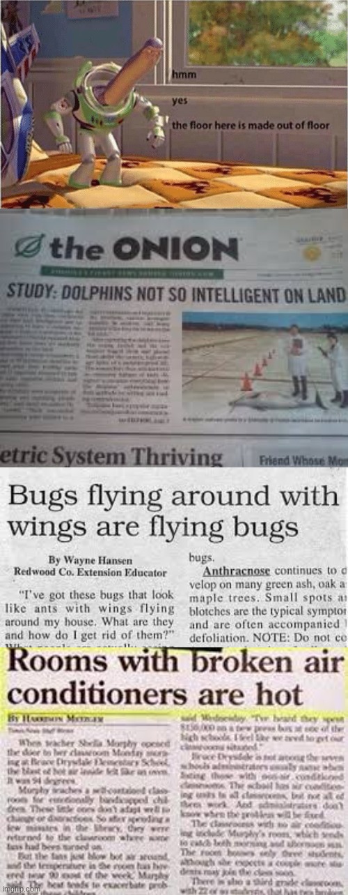 hmm yes the flying bugs are made of bugs | image tagged in hmm yes the floor here is made out of floor | made w/ Imgflip meme maker