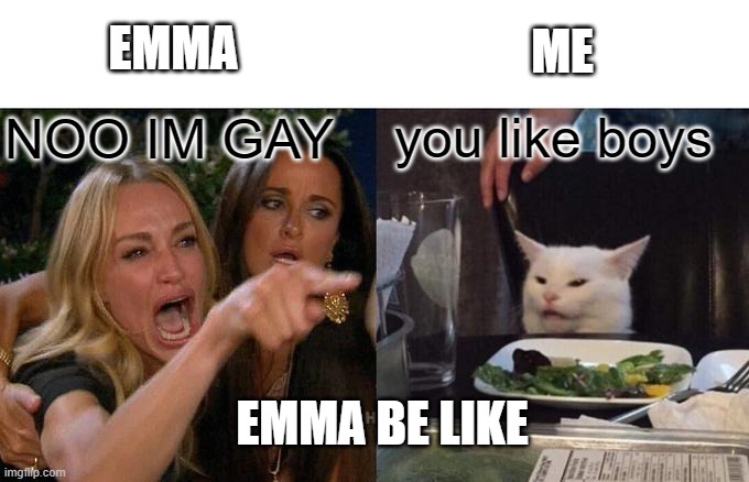 Woman Yelling At Cat Meme | EMMA; ME; you like boys; NOO IM GAY; EMMA BE LIKE | image tagged in memes,woman yelling at cat | made w/ Imgflip meme maker