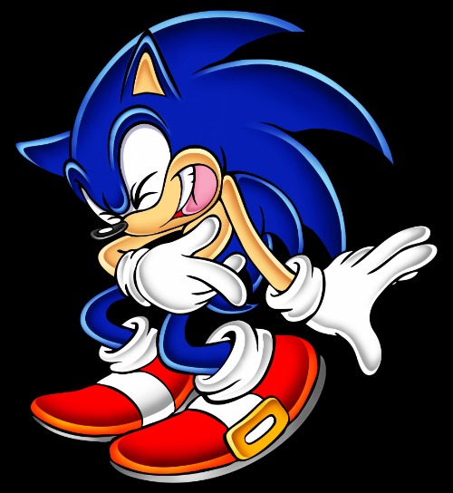 Sonic the Hedgehog Laughing | image tagged in sonic the hedgehog laughing | made w/ Imgflip meme maker