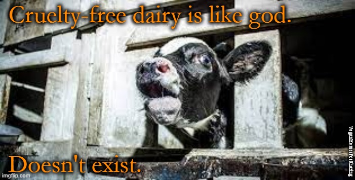 Non-Existent |  Cruelty-free dairy is like god. Doesn't exist. VeganMemesForSharing | image tagged in vegan,vegetarian,dairy,milk,cheese,butter | made w/ Imgflip meme maker