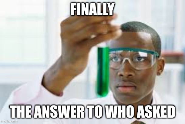 FINALLY | FINALLY; THE ANSWER TO WHO ASKED | image tagged in finally,who asked | made w/ Imgflip meme maker