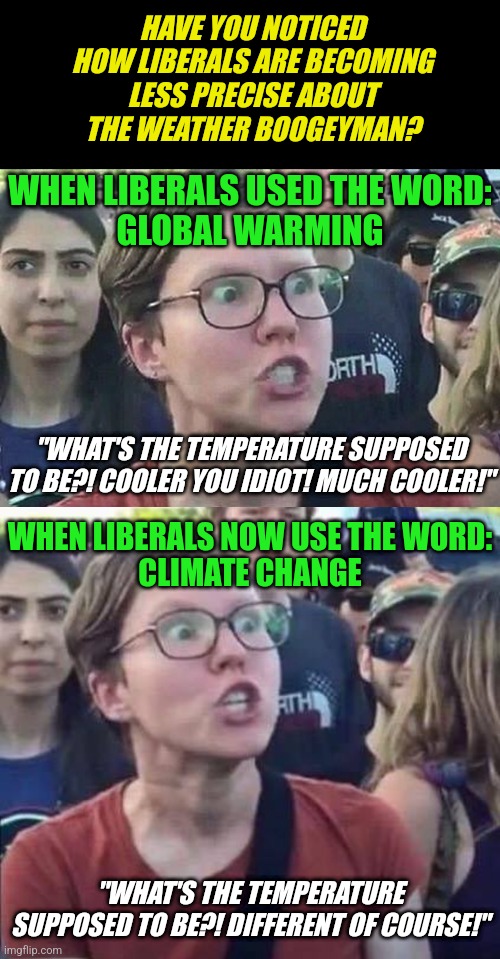 You cannot measure something less precisely and get a more accurate result liberals. Sorry that is not science, its agenda. | HAVE YOU NOTICED HOW LIBERALS ARE BECOMING LESS PRECISE ABOUT THE WEATHER BOOGEYMAN? WHEN LIBERALS USED THE WORD:
GLOBAL WARMING; "WHAT'S THE TEMPERATURE SUPPOSED TO BE?! COOLER YOU IDIOT! MUCH COOLER!"; WHEN LIBERALS NOW USE THE WORD:
CLIMATE CHANGE; "WHAT'S THE TEMPERATURE SUPPOSED TO BE?! DIFFERENT OF COURSE!" | image tagged in triggered liberal,angry liberal,science,climate change,global warming,panic | made w/ Imgflip meme maker