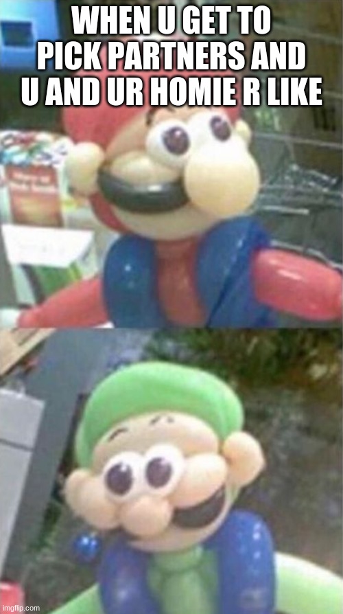 mario and luigi balloon | WHEN U GET TO PICK PARTNERS AND U AND UR HOMIE R LIKE | image tagged in mario and luigi balloon | made w/ Imgflip meme maker