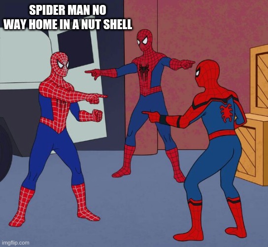 Spider Man Triple | SPIDER MAN NO WAY HOME IN A NUT SHELL | image tagged in spider man triple | made w/ Imgflip meme maker