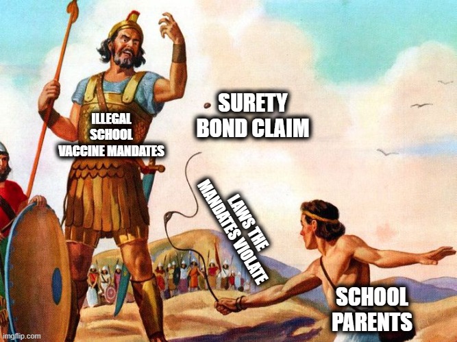 Davids are Defeating the Goliaths with this Strategy | SURETY BOND CLAIM; ILLEGAL SCHOOL VACCINE MANDATES; LAWS THE MANDATES VIOLATE; SCHOOL PARENTS | image tagged in david and goliath | made w/ Imgflip meme maker