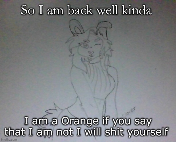 Hot Coco | So I am back well kinda; I am a Orange if you say that I am not I will shit yourself | image tagged in hot coco | made w/ Imgflip meme maker