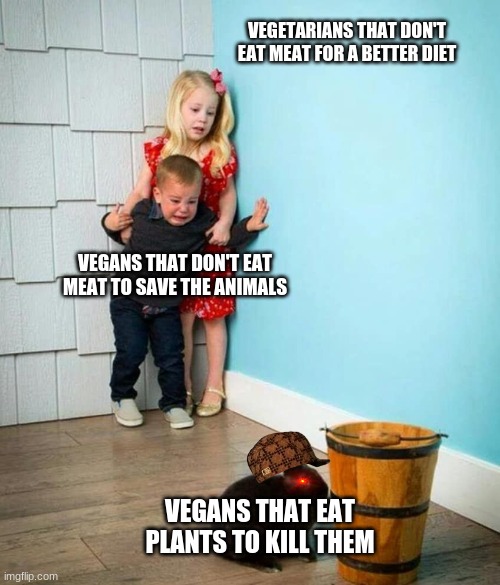 Vegans | VEGETARIANS THAT DON'T EAT MEAT FOR A BETTER DIET; VEGANS THAT DON'T EAT MEAT TO SAVE THE ANIMALS; VEGANS THAT EAT PLANTS TO KILL THEM | image tagged in children scared of rabbit,vegan,funny,fun | made w/ Imgflip meme maker