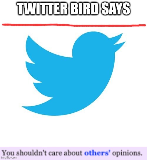 idk | image tagged in idk,twitter birds says,twitter | made w/ Imgflip meme maker