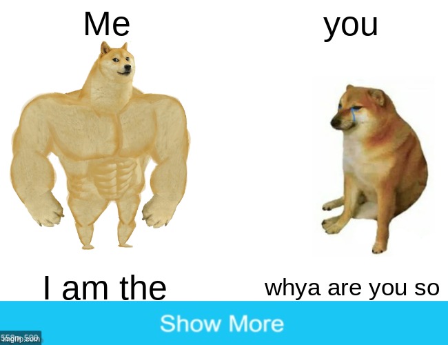 e | Me; you; I am the; whya are you so | image tagged in memes,buff doge vs cheems | made w/ Imgflip meme maker