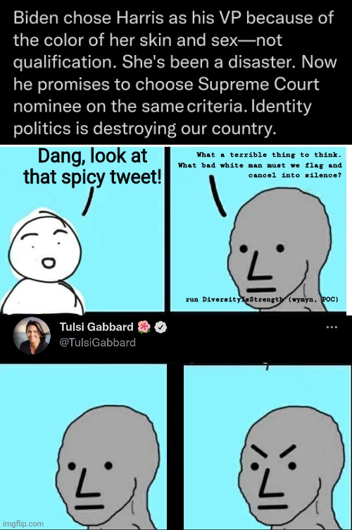 not wrong | What a terrible thing to think.
What bad white man must we flag and
cancel into silence? Dang, look at that spicy tweet! run DiversityIsStrength (wymyn, POC) | image tagged in plain white | made w/ Imgflip meme maker