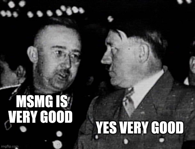 Grammar Nazis Himmler and Hitler | MSMG IS VERY GOOD; YES VERY GOOD | image tagged in grammar nazis himmler and hitler | made w/ Imgflip meme maker