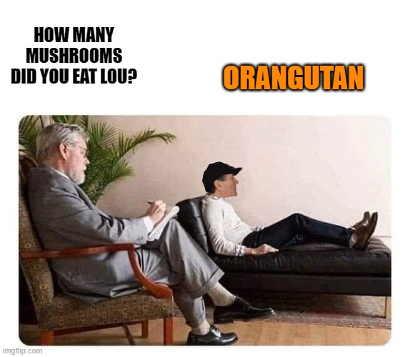 HOW MANY MUSHROOMS DID YOU EAT LOU? ORANGUTAN | image tagged in shrink and kewlew | made w/ Imgflip meme maker
