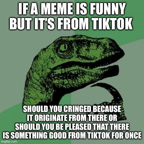 Philosoraptor Meme | IF A MEME IS FUNNY BUT IT’S FROM TIKTOK SHOULD YOU CRINGED BECAUSE IT ORIGINATE FROM THERE OR SHOULD YOU BE PLEASED THAT THERE IS SOMETHING  | image tagged in memes,philosoraptor | made w/ Imgflip meme maker