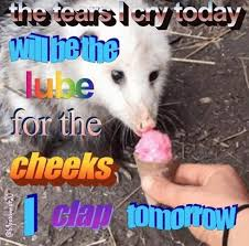 opossum today Blank Meme Template