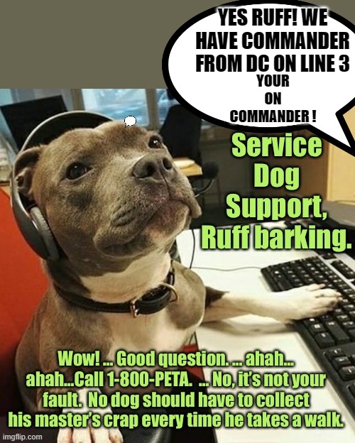 YES RUFF! WE HAVE COMMANDER FROM DC ON LINE 3 YOUR ON COMMANDER ! | made w/ Imgflip meme maker