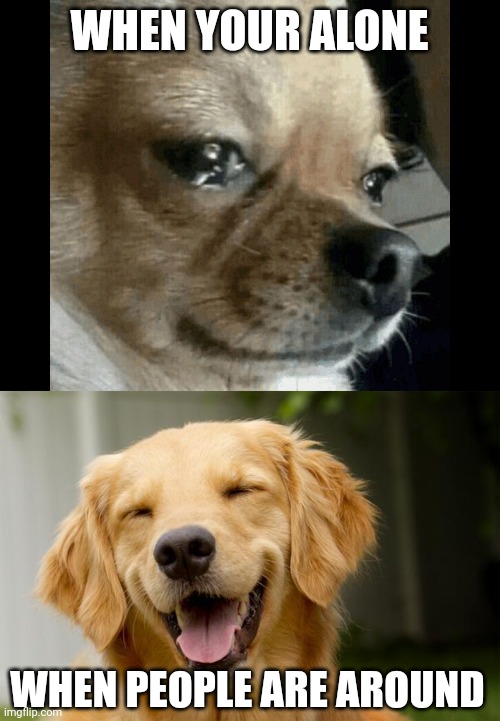 Hiding them feels | WHEN YOUR ALONE; WHEN PEOPLE ARE AROUND | image tagged in dog crying,happy dog,feelings,feels,the feels,sad | made w/ Imgflip meme maker