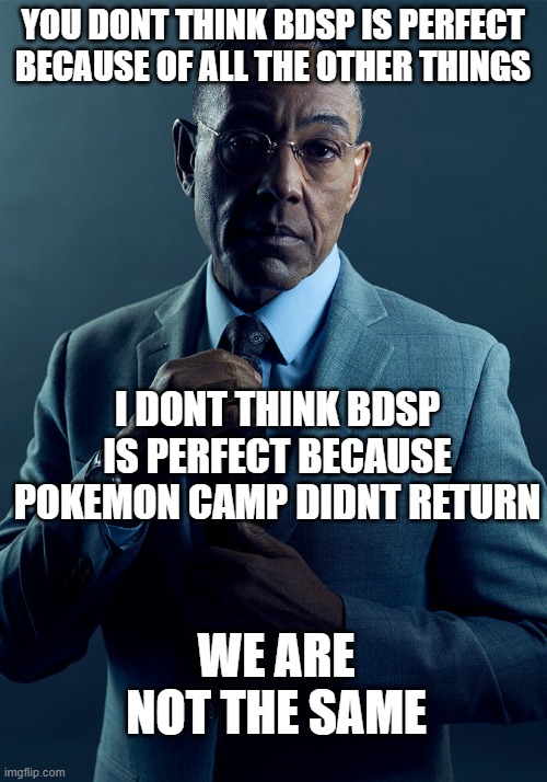 we need pokemon camp | YOU DONT THINK BDSP IS PERFECT BECAUSE OF ALL THE OTHER THINGS; I DONT THINK BDSP IS PERFECT BECAUSE POKEMON CAMP DIDNT RETURN; WE ARE NOT THE SAME | image tagged in gus fring we are not the same | made w/ Imgflip meme maker