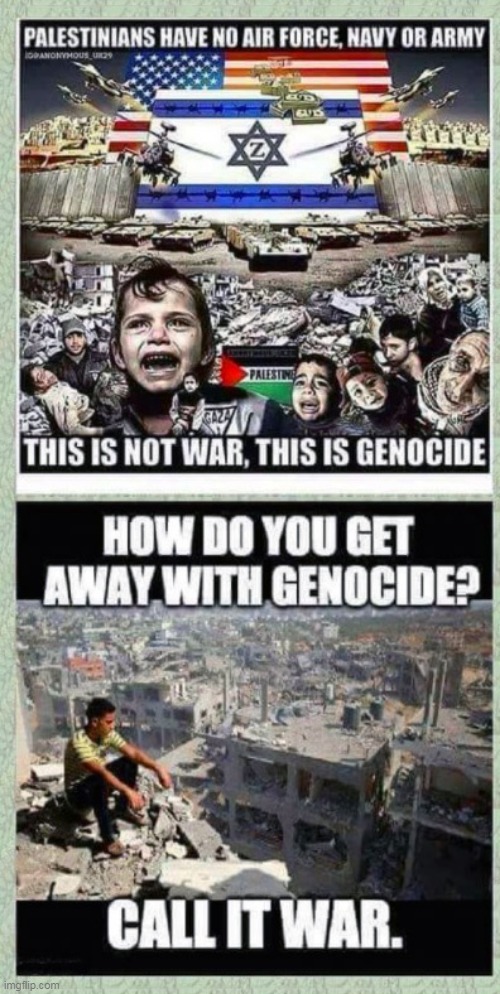 This Is Genocide | image tagged in israel,palestine,war,genocide,this is not war,this is genocide | made w/ Imgflip meme maker