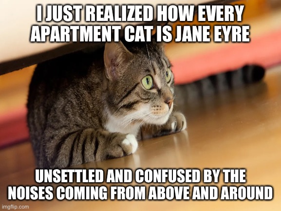 Jane Eyre Cat |  I JUST REALIZED HOW EVERY APARTMENT CAT IS JANE EYRE; UNSETTLED AND CONFUSED BY THE NOISES COMING FROM ABOVE AND AROUND | image tagged in thoughts,food for thought,cat | made w/ Imgflip meme maker