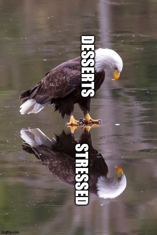 Eagle's Reflection | DESSERTS STRESSED | image tagged in eagle's reflection | made w/ Imgflip meme maker