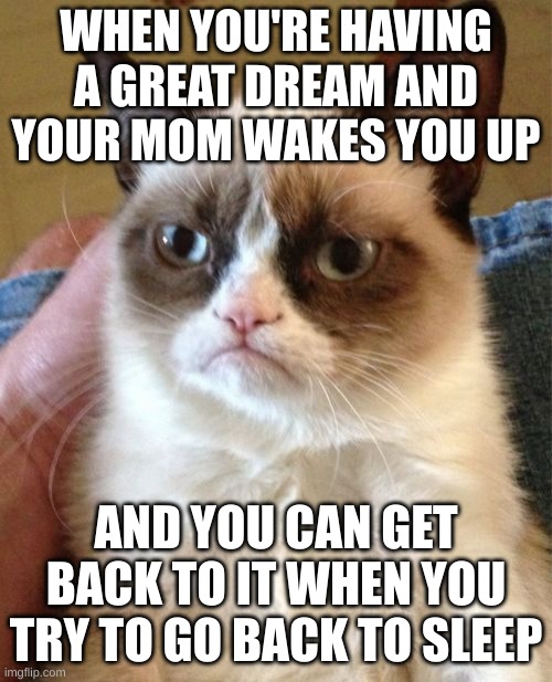 *Insert good title here* | WHEN YOU'RE HAVING A GREAT DREAM AND YOUR MOM WAKES YOU UP; AND YOU CAN GET BACK TO IT WHEN YOU TRY TO GO BACK TO SLEEP | image tagged in memes,grumpy cat,dreams | made w/ Imgflip meme maker
