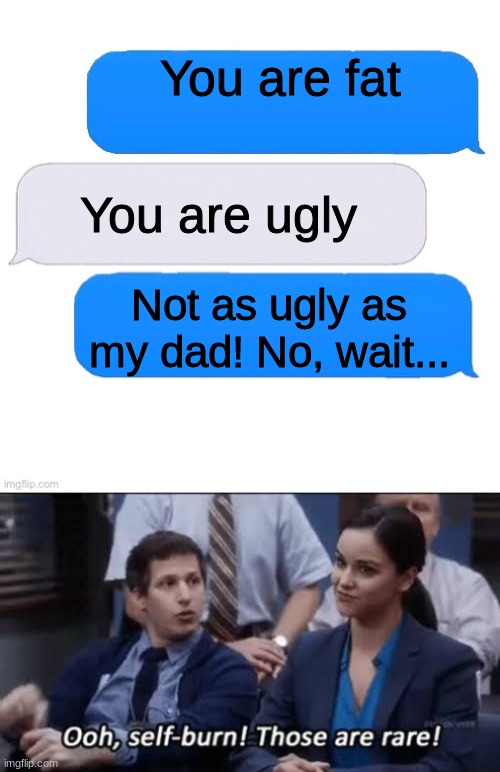 Heyo you rostid yourself | You are fat; You are ugly; Not as ugly as my dad! No, wait... | image tagged in three box text message,ooh self-burn those are rare,memes | made w/ Imgflip meme maker