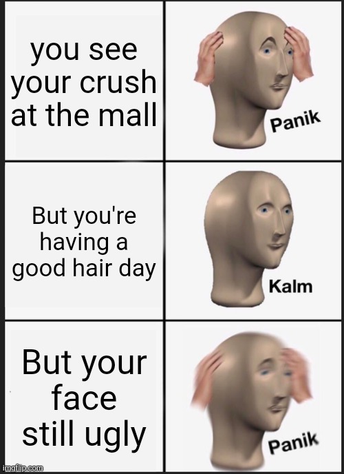 Panikkkk | you see your crush at the mall; But you're having a good hair day; But your face still ugly | image tagged in memes,panik kalm panik | made w/ Imgflip meme maker