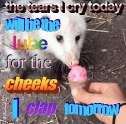 opossum today | image tagged in opossum today | made w/ Imgflip meme maker