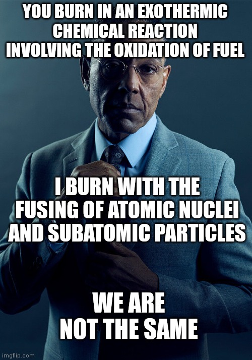 Gus Fring we are not the same | YOU BURN IN AN EXOTHERMIC CHEMICAL REACTION INVOLVING THE OXIDATION OF FUEL; I BURN WITH THE FUSING OF ATOMIC NUCLEI AND SUBATOMIC PARTICLES; WE ARE NOT THE SAME | image tagged in gus fring we are not the same | made w/ Imgflip meme maker