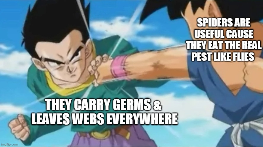 I still don't like Spiders | SPIDERS ARE USEFUL CAUSE THEY EAT THE REAL PEST LIKE FLIES; THEY CARRY GERMS &
 LEAVES WEBS EVERYWHERE | image tagged in block punch dragon ball,spiders,bugs,dragon ball,anime | made w/ Imgflip meme maker