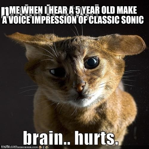 DONT DO IT | ME WHEN I HEAR A 5 YEAR OLD MAKE A VOICE IMPRESSION OF CLASSIC SONIC | image tagged in make it stop brain hurts | made w/ Imgflip meme maker