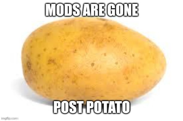 P o t a t o (mod note: they are not gone) | image tagged in mods are gone,post potato,eeeeeee,lol | made w/ Imgflip meme maker