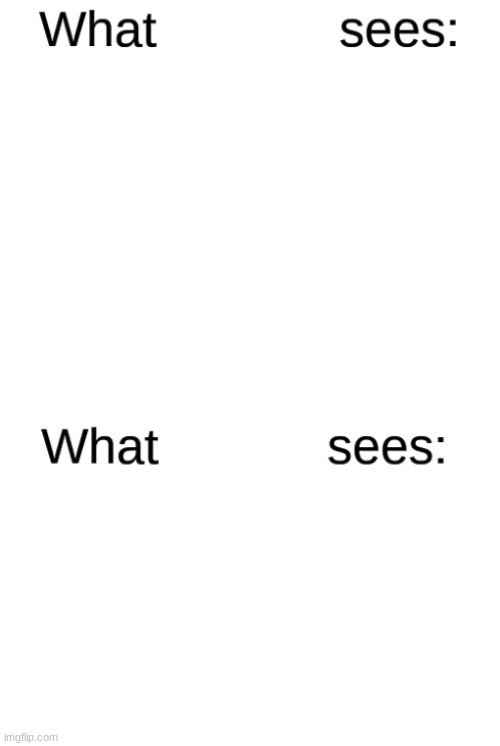 What blank sees vs. what blank sees | image tagged in what blank sees vs what blank sees | made w/ Imgflip meme maker