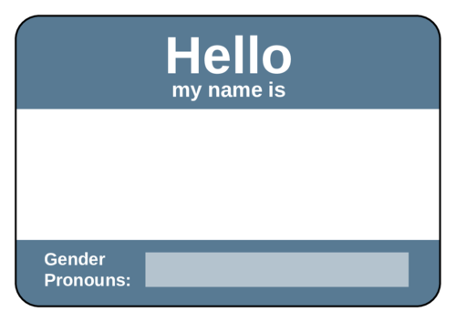 High Quality Name tag with pronouns Blank Meme Template