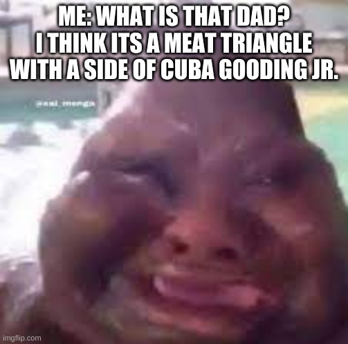 meat trIaNgLe | ME: WHAT IS THAT DAD?
I THINK ITS A MEAT TRIANGLE WITH A SIDE OF CUBA GOODING JR. | image tagged in wut | made w/ Imgflip meme maker
