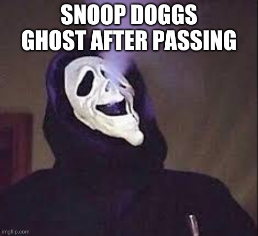 hmm | SNOOP DOGGS GHOST AFTER PASSING | image tagged in ghostface getting bunked | made w/ Imgflip meme maker
