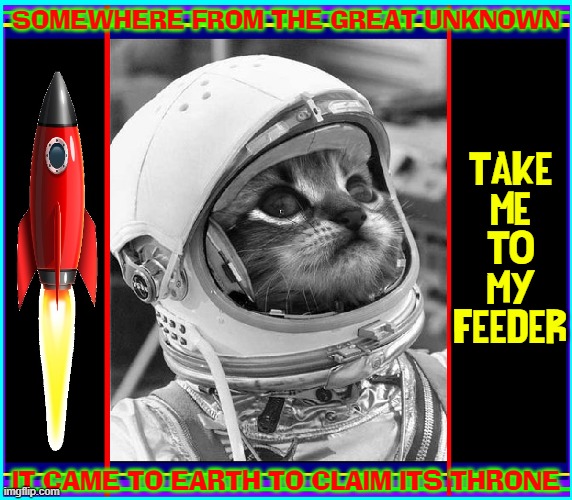 The Cat Who Came from Outer Space | SOMEWHERE FROM THE GREAT UNKNOWN; TAKE
ME
TO
MY
FEEDER; IT CAME TO EARTH TO CLAIM ITS THRONE | image tagged in vince vance,cats,i love cats,rocket ship,funny cat memes,take me to your leader | made w/ Imgflip meme maker